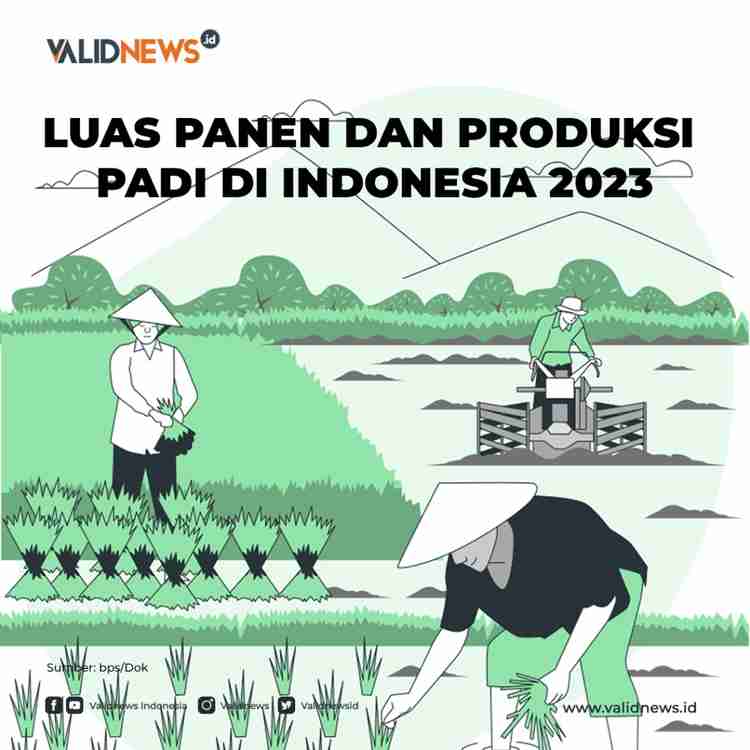 Luas Panen Dan Produksi Padi Di Indonesia 2023