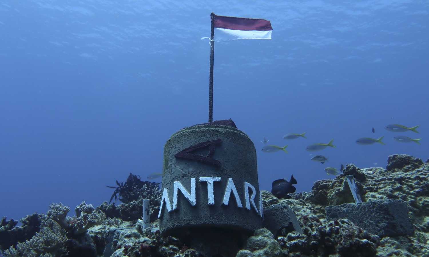 TNI AL Benarkan Kapal Induk AS Melintas Di Laut Natuna