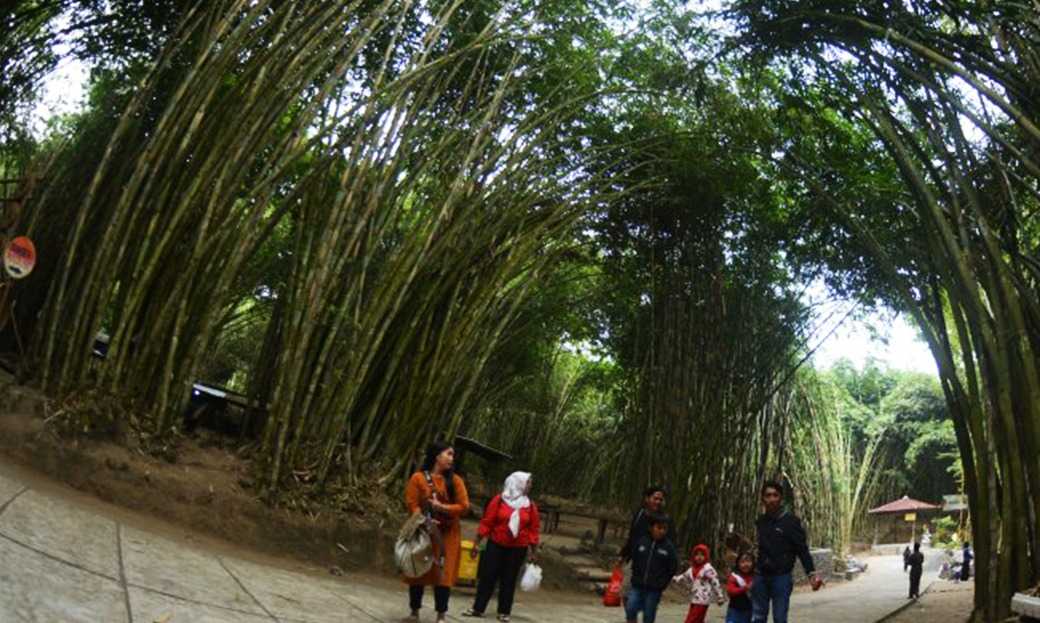 Hakikat Bambu Dan Kehidupan Masyarakat Indonesia
