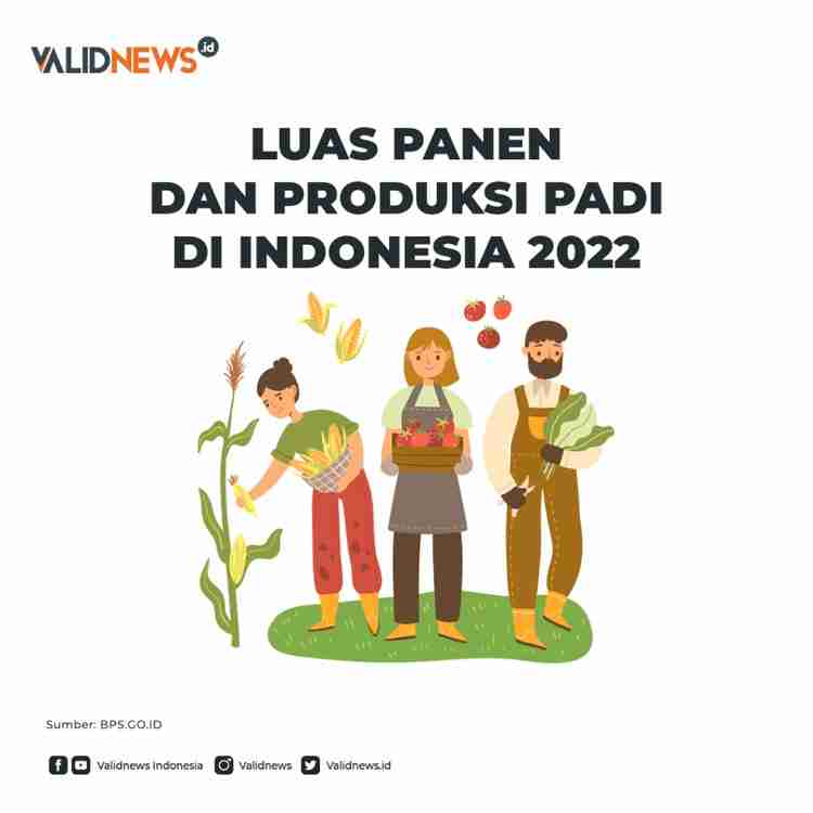 Luas panen dan produksi padi di indonesia 2022