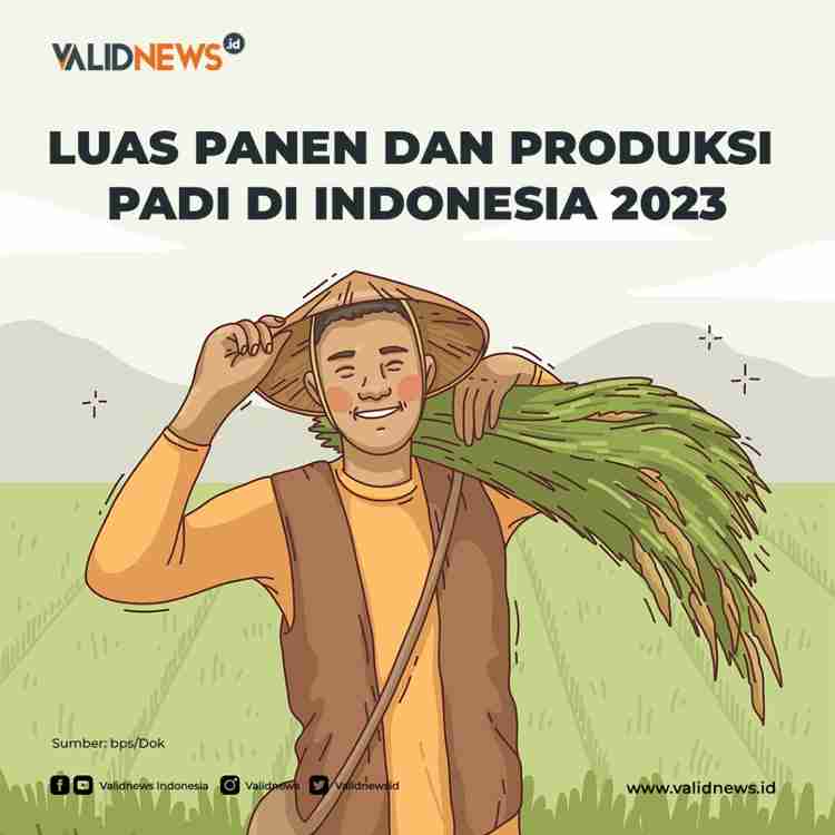 Luas Panen Dan Produksi Padi Di Indonesia 2023