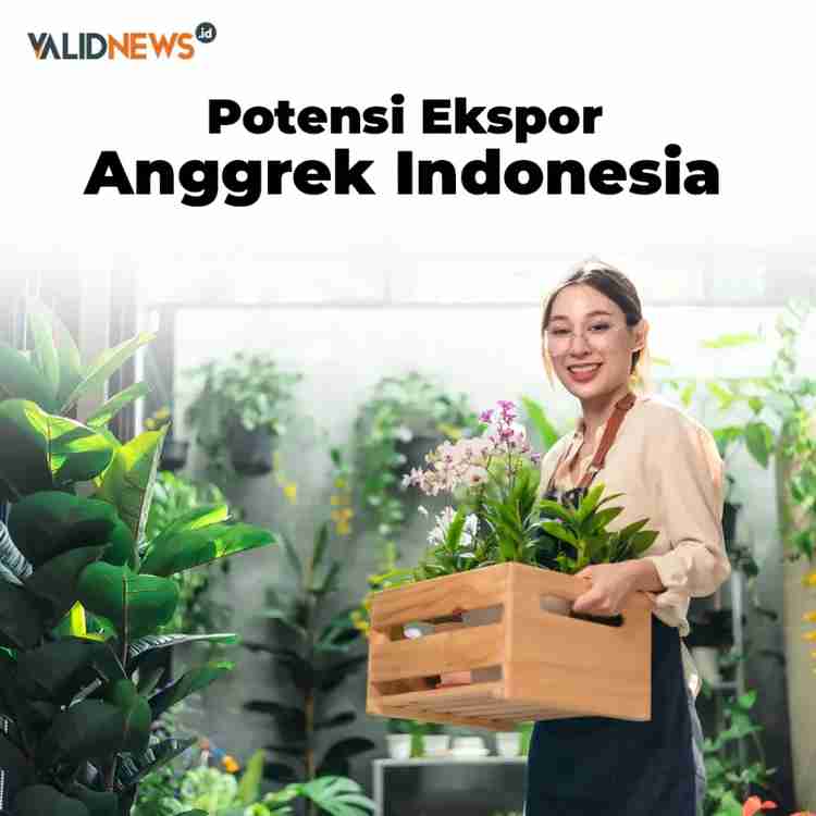 Potensi Ekspor Anggrek Indonesia
